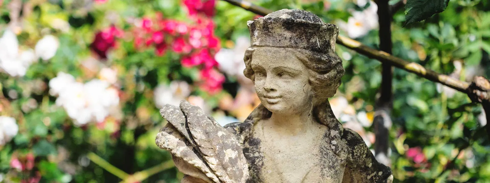 gardenfeature